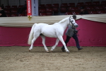 SBM_04945