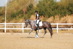 SBM_016562