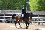 WJ6_9647
