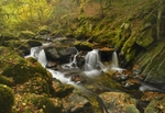 Afon Clywedog