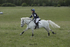 BVHT 140517  NXC -13