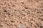 230511A-095048-00136
