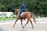 069-LUSUELA-Will.Furlong-DR portfolio