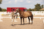 SBM_03750