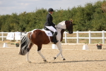 SBM_015121