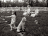 Bubbles
