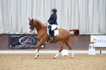 SBM_002657