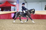 SBM_23561