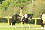 SBM_67384