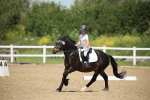 SBM_008741