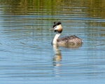 20110702-IMG_6083