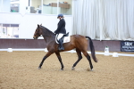 SBM_001013