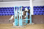 SBM_001003