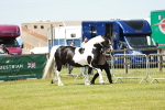 SBM_04117