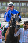 150726-Race 2-South West-3068