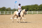 SBM_009060