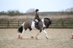 SBM_007953