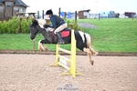 Cls 4 British Novice and 80cm Open portfolio