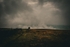 DSCF4201