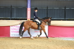 SBM_17696