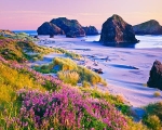 Istock #18187270