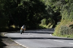 FOM_0383