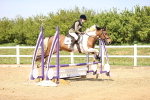 SBM_001101