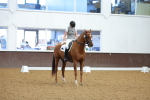 SBM_001708