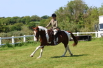 3E7A8726
