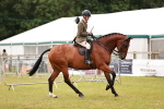 Class 81-84 - RIHS Ridden hunters Inc Ladies Hunter portfolio