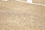 SBM_005438