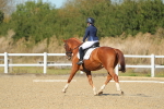 SBM_001456