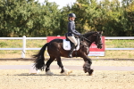 SBM_009179