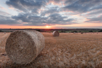 Stow Hay Bales