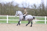SBM_006956