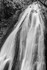 Wahclella Falls Trail