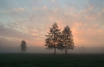 Białowieża, Poland