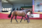 SBM_17052