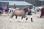 SBM_007263