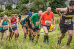 Grasmere-581