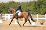 SBM_010515