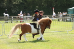 SBM_05430