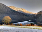 Road to Monmouth