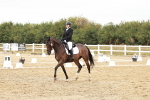 SBM_003022