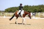 SBM_010550