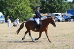 WJ6_8344