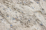 SBM_006883