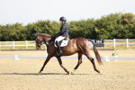 SBM_002401