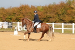 SBM_009298