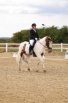 SBM_006568
